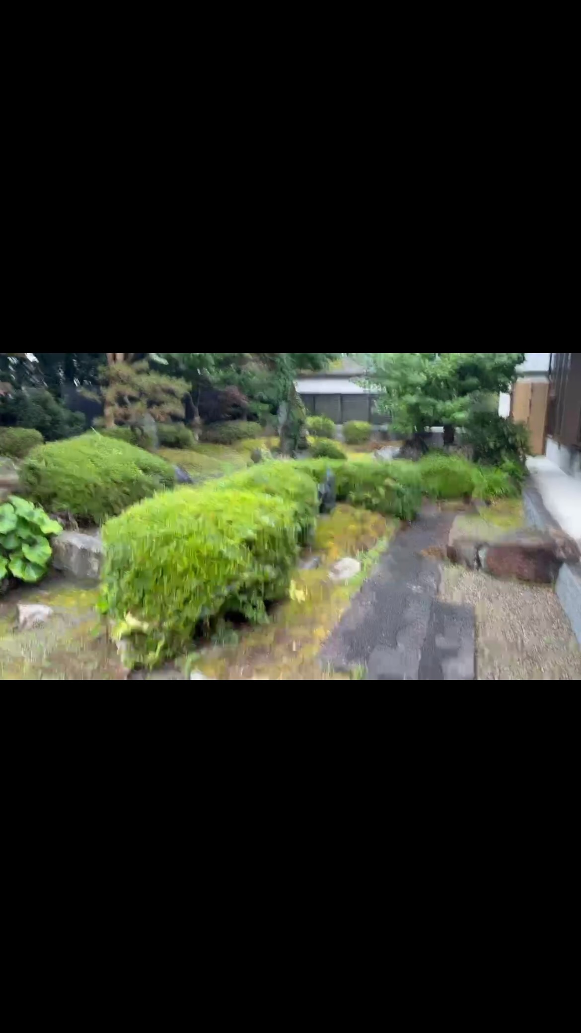 おはようございます