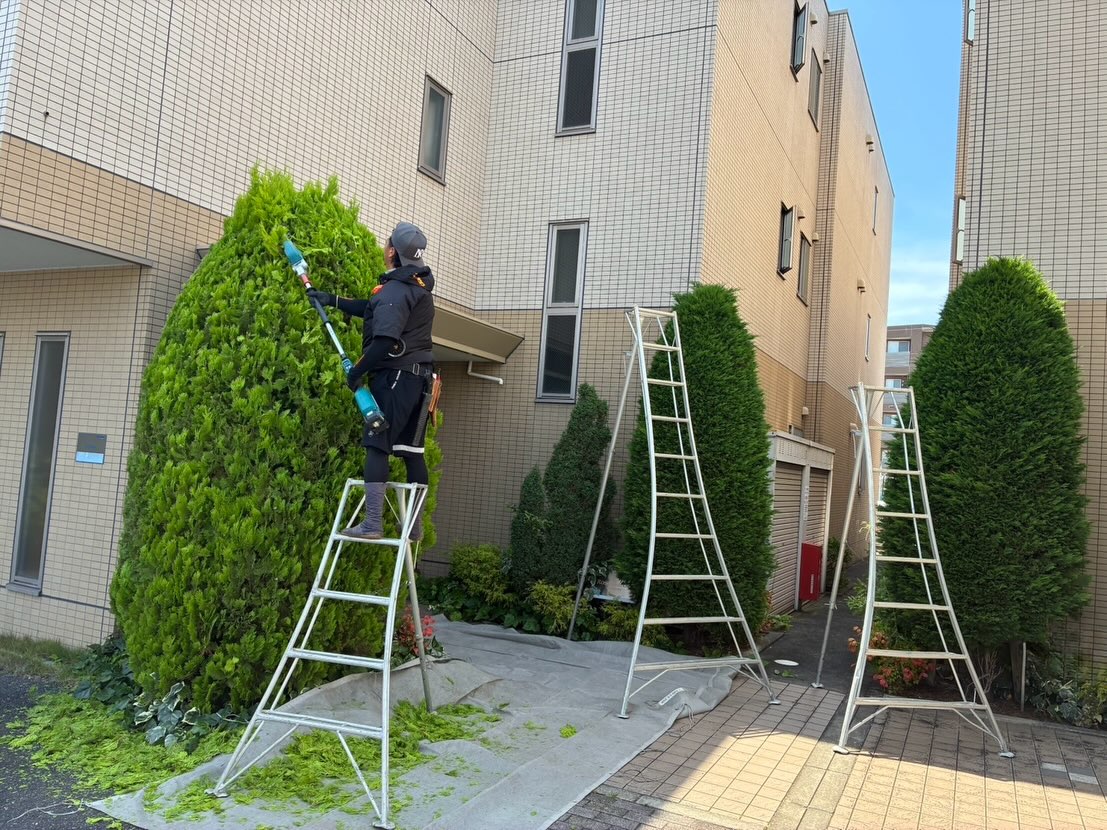 お疲れ様です