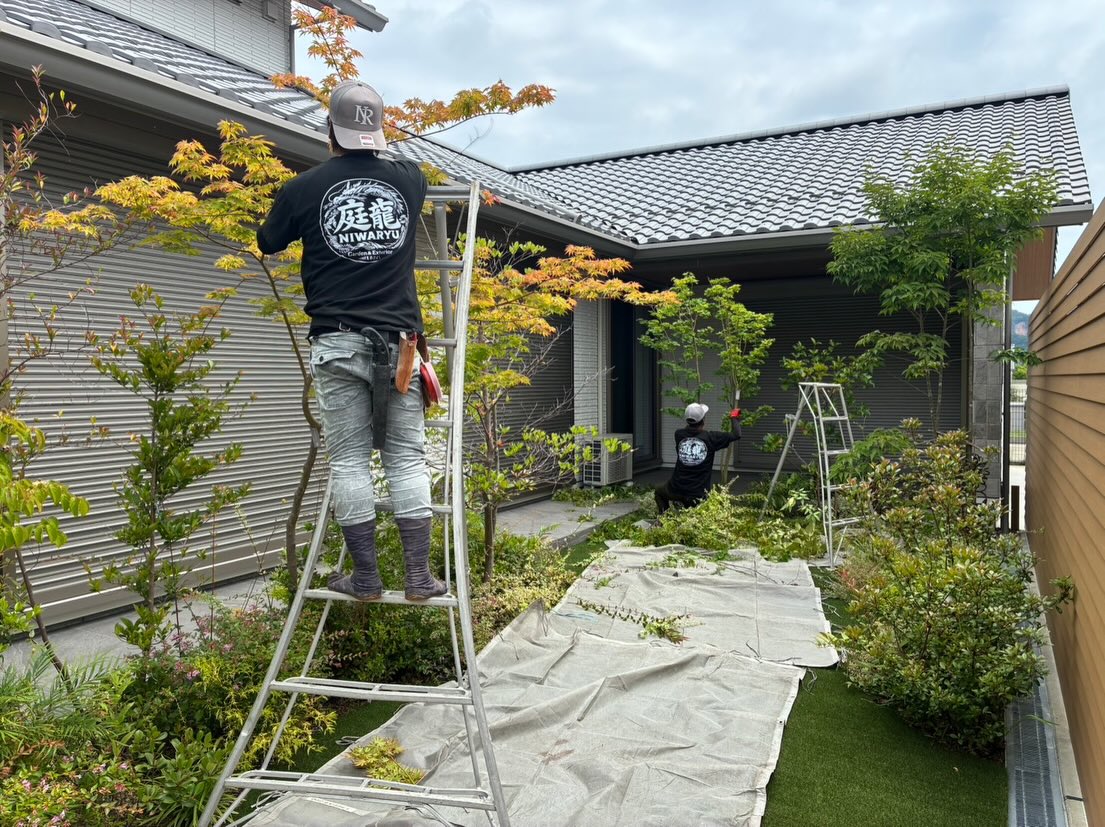 本日は朝から大事なお客様宅の庭木のお手入れ