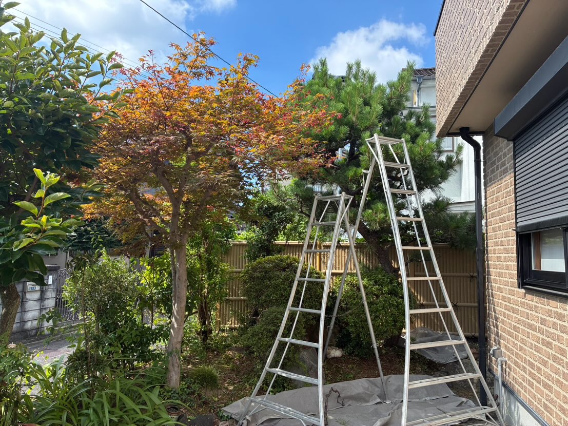 本日も一日植木屋さん