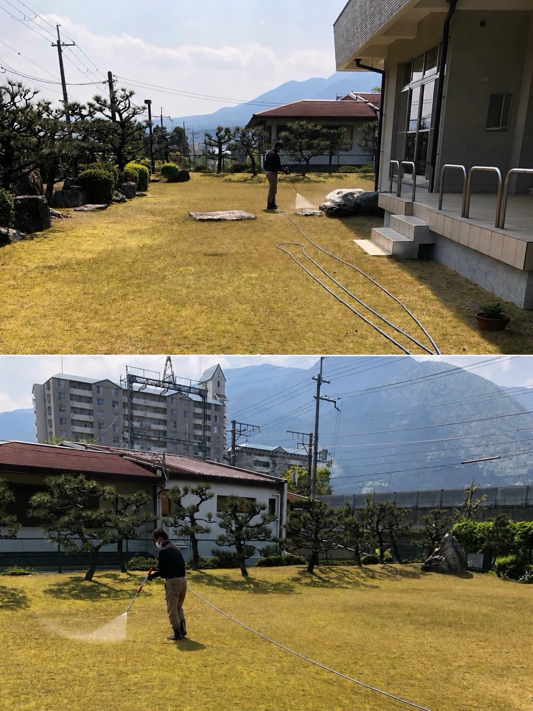 企業様庭園にて芝生管理