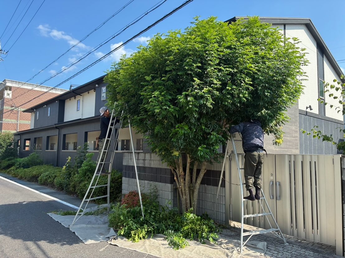 本日は、剪定　除草　4件