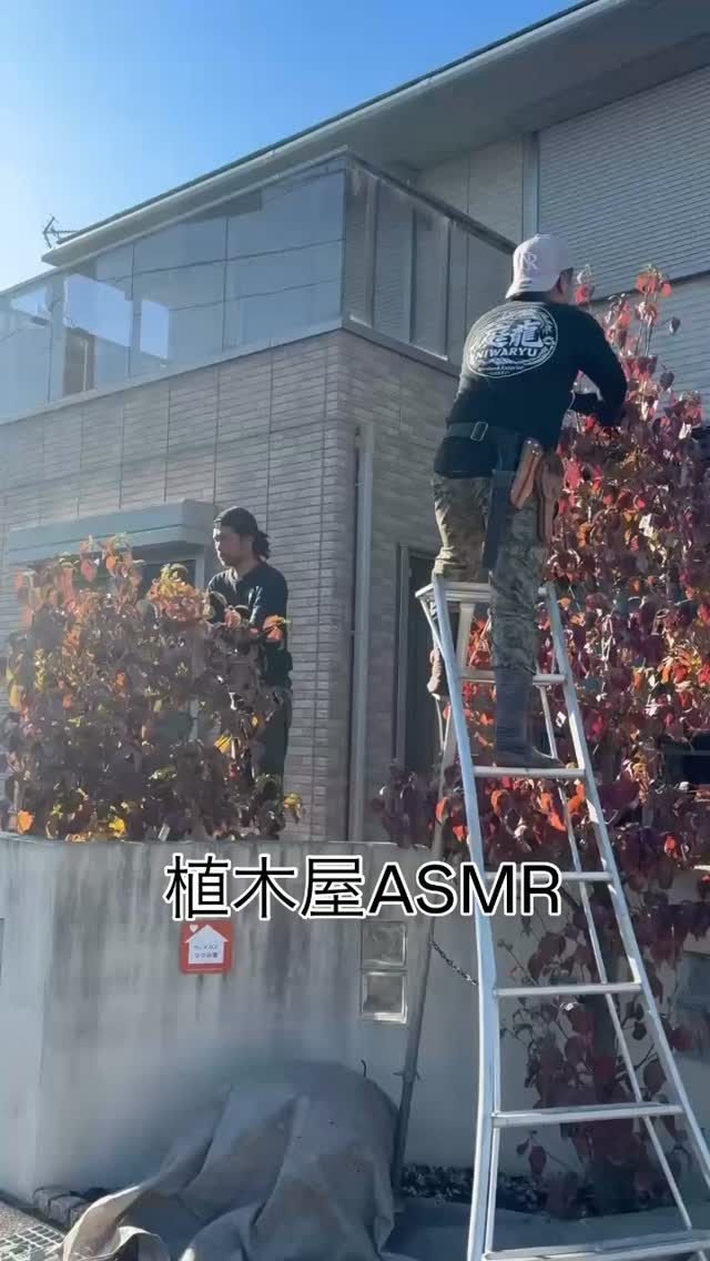 ハサミの音