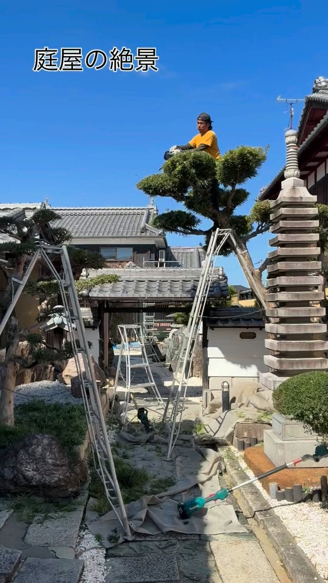 青空と、素晴らしい庭