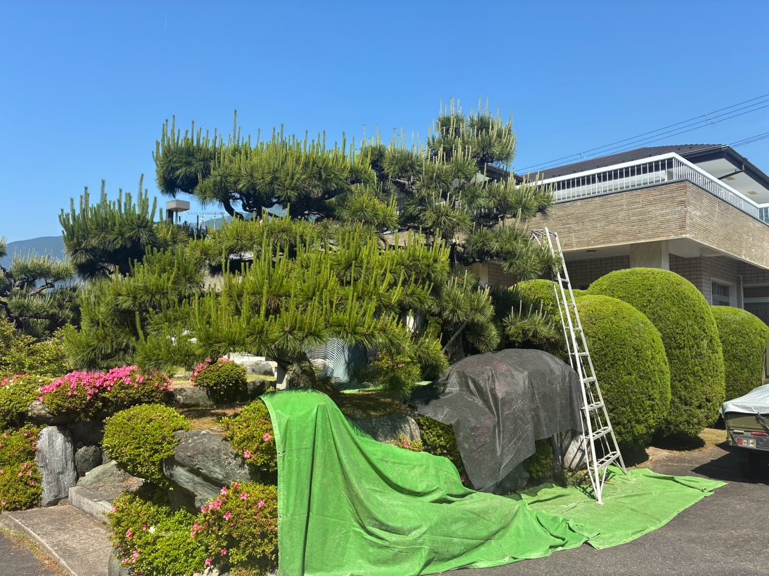 お疲れ様です