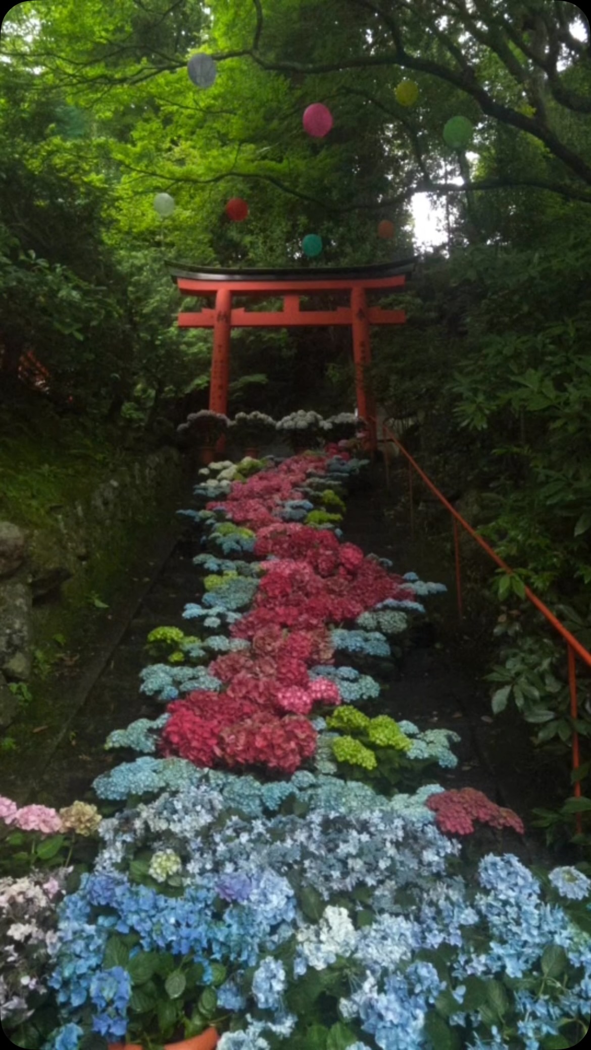 忙しい時ほど、心を整える時間を