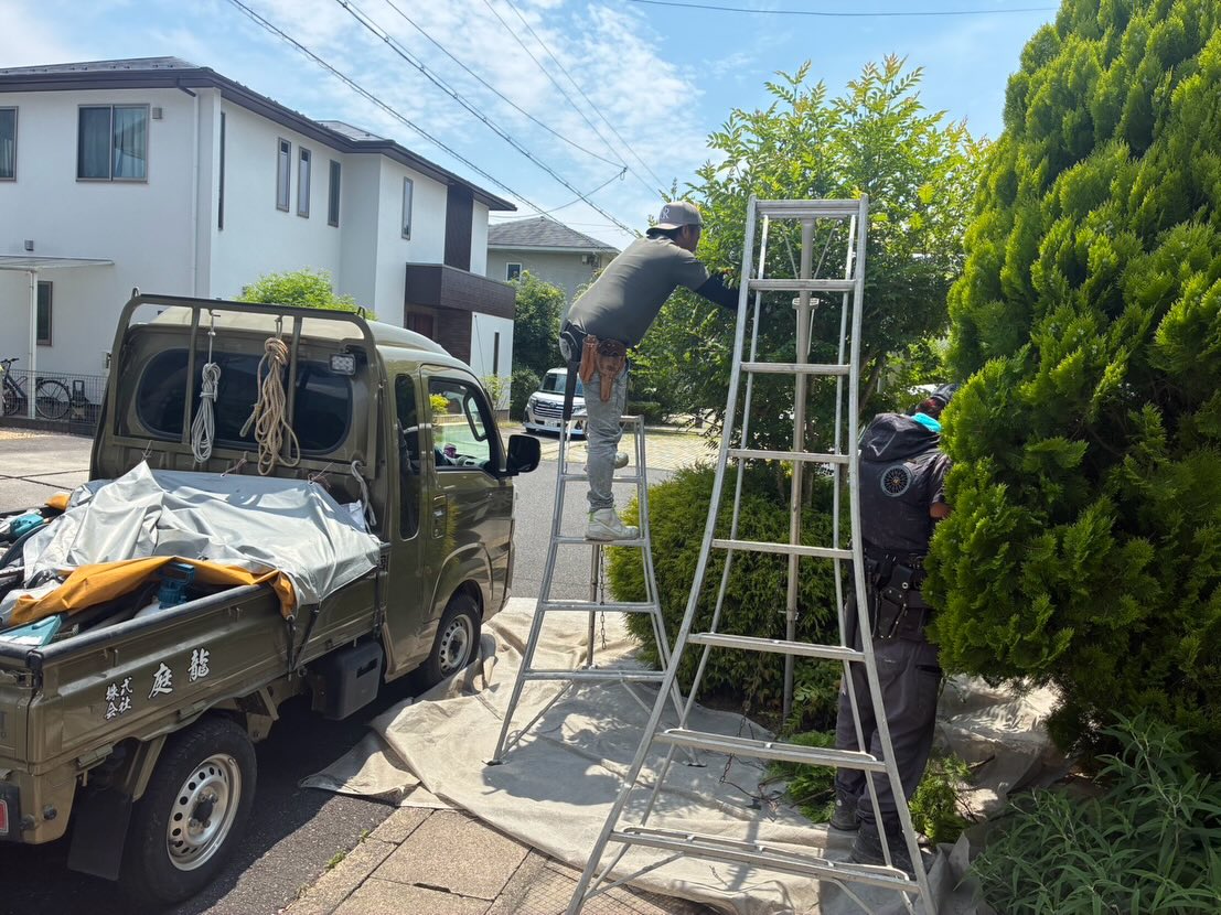 本日は植木屋さん