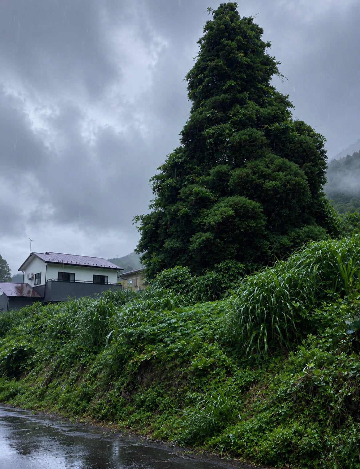お疲れ様です
